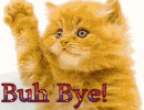 Buh Bye Cat